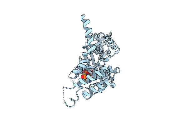 2ZRL image