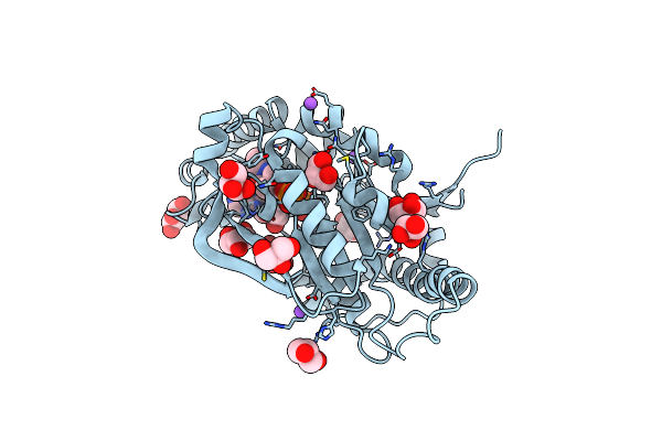 2ZSA image
