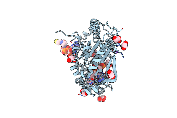 2ZSD image