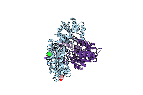 2ZSG image