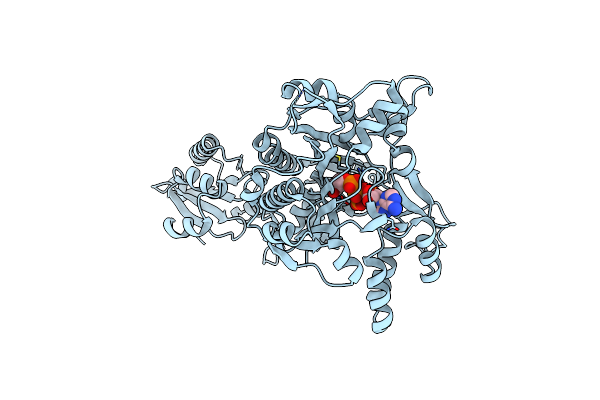 2ZT5 image