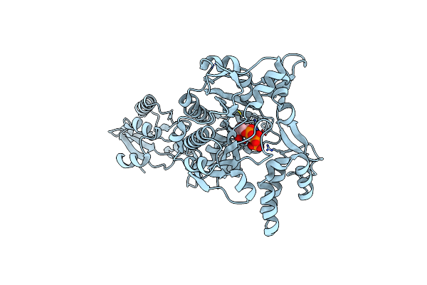 2ZT6 image