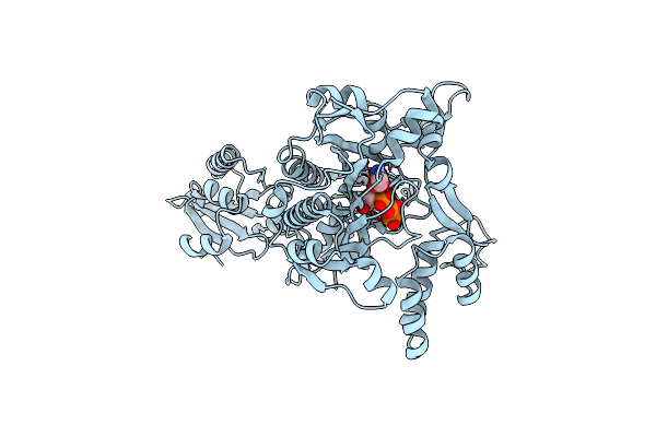 2ZT7 image