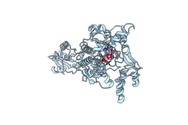 2ZT8 image