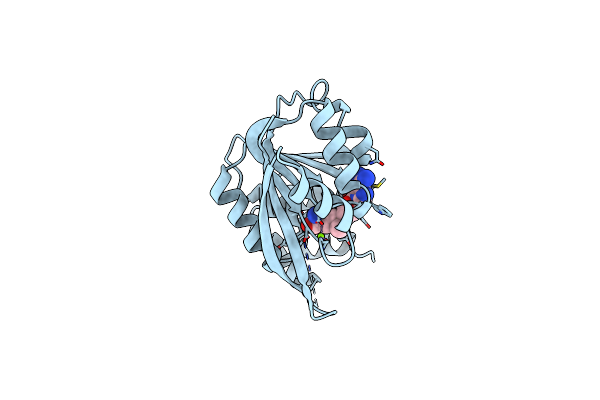2ZTH image