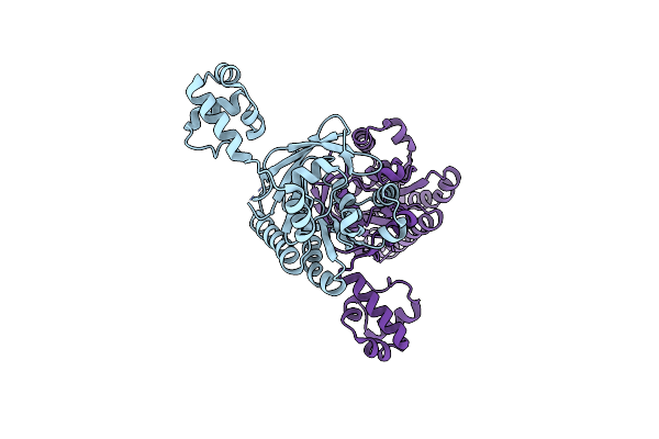 2ZUB image