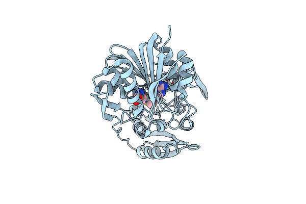 2ZUL image