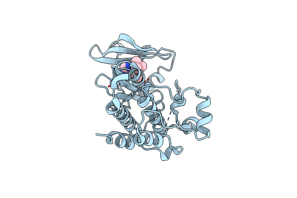 2ZV9 image