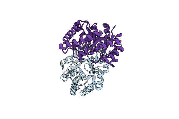 2ZVR image