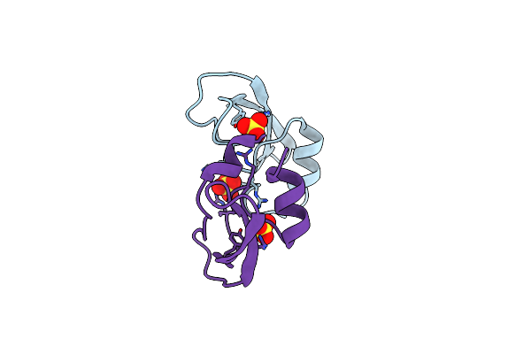 2ZVX image