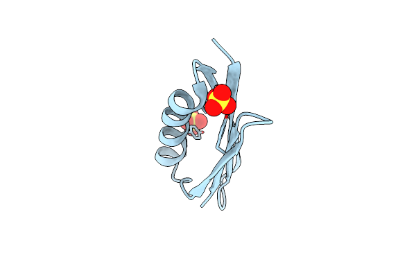 2ZW0 image