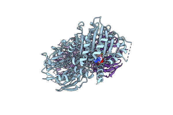 2ZW9 image