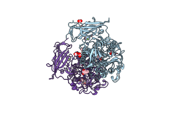 2ZXC image
