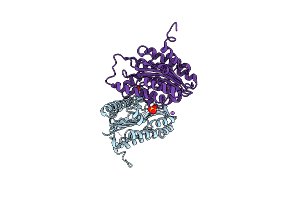2ZXL image