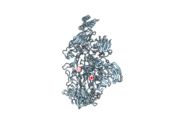 2ZXQ image
