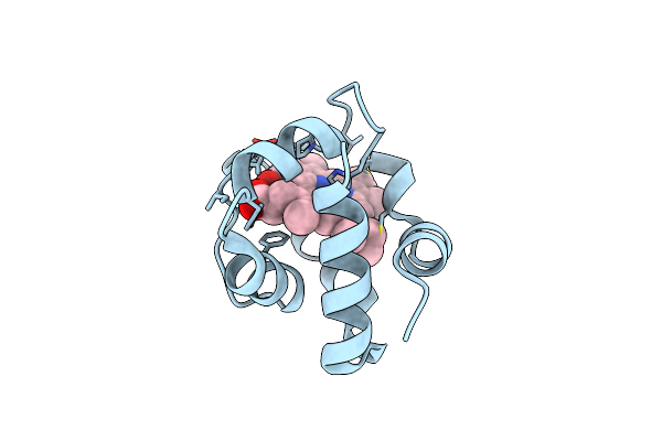 2ZXY image