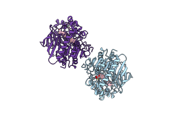 2ZYI image