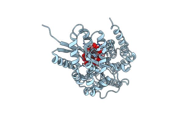 2ZYN image