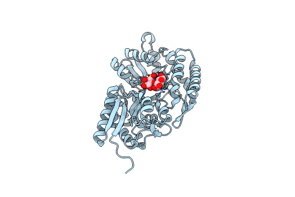 2ZYO image
