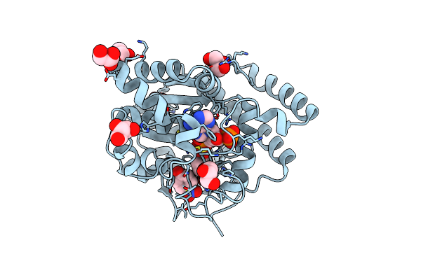 2ZYV image