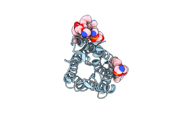 2ZZ9 image