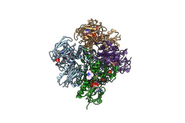 2ZZB image