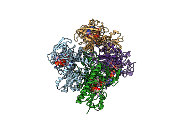 2ZZC image