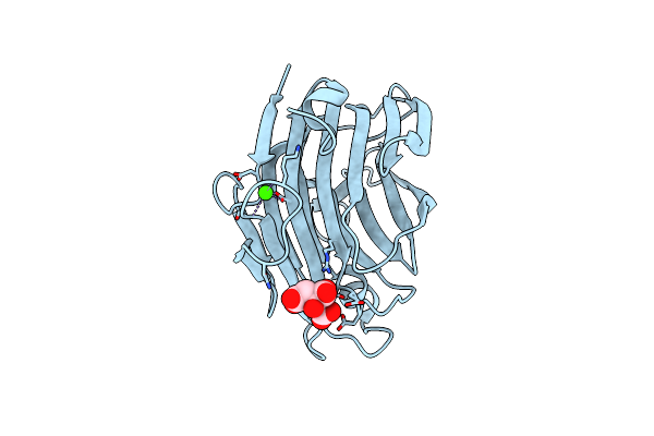 2ZZJ image