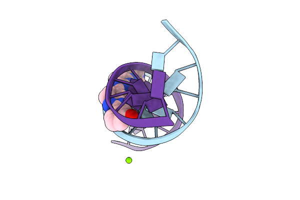302D image