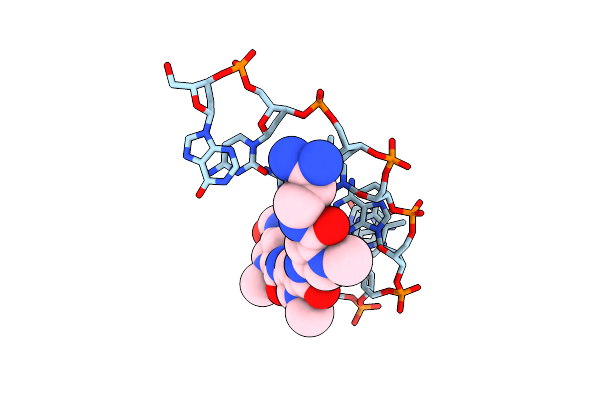 304D image