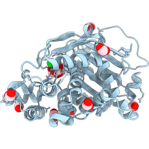 30CT image