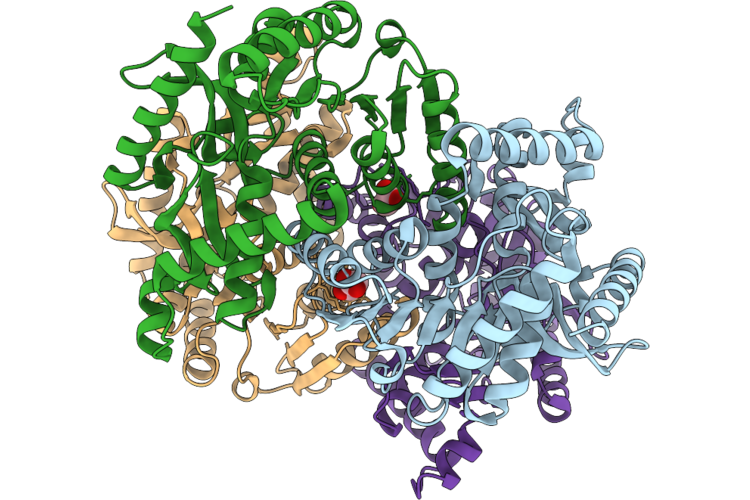 30IZ image