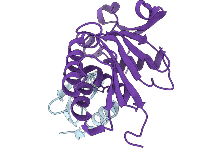 30KX image