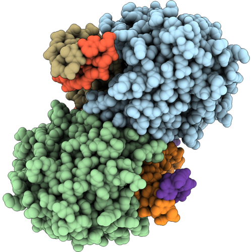 30LM image