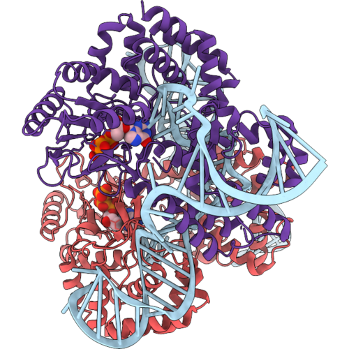 30QX image