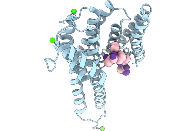 30TR image