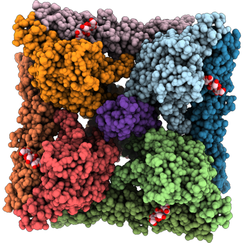 30XT image