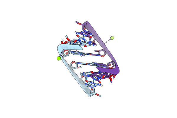 310D image