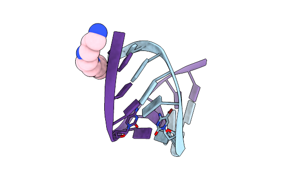 319D image