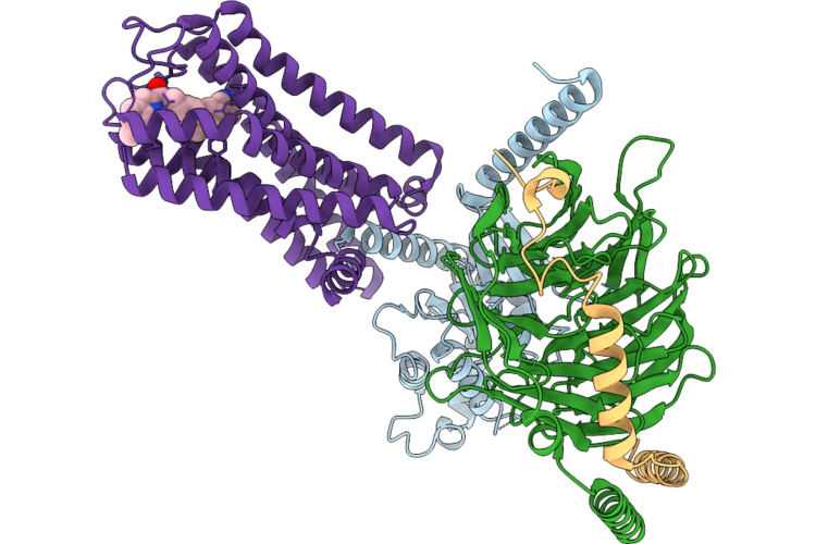 31BG image