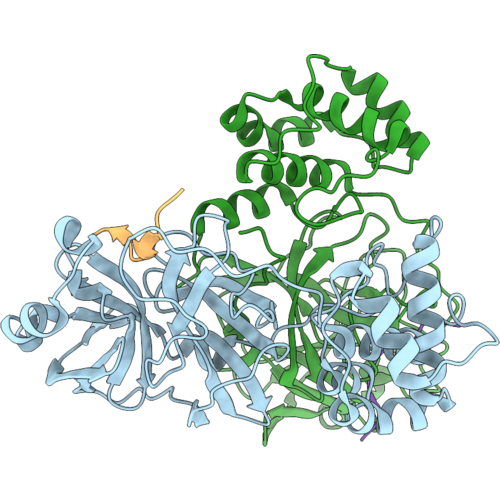 31GI image