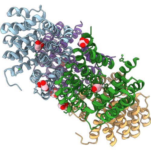 31NR image