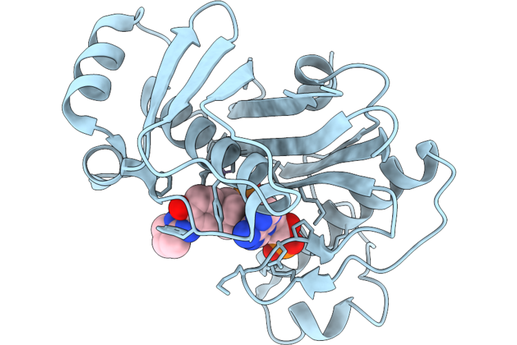 31RR image
