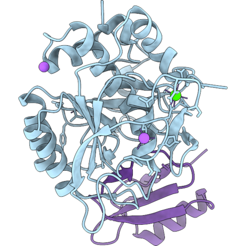 31VH image