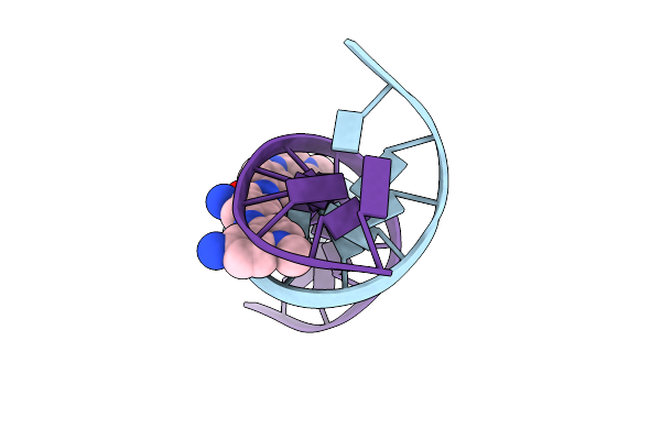 328D image