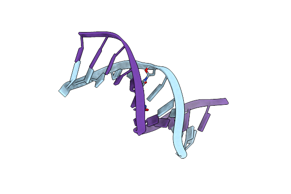 329D image