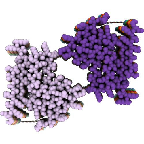 32DS image