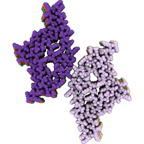 32EP image
