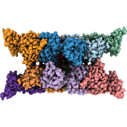 32GE image