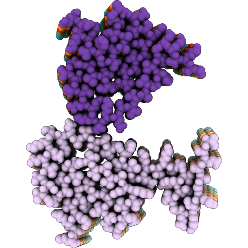 32IB image